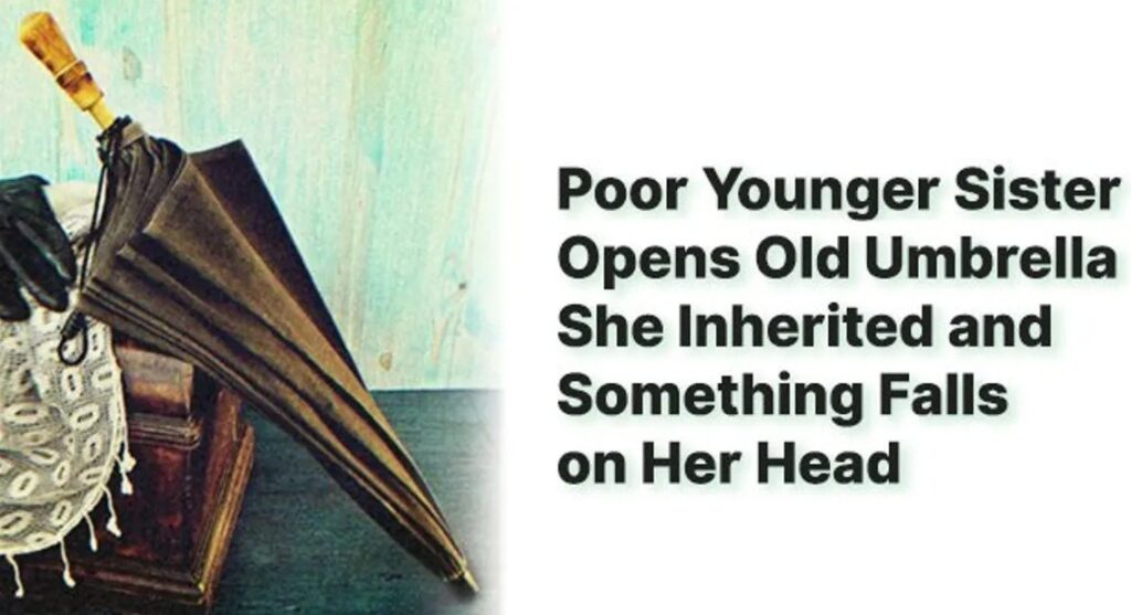 Greedy Brothers Mock Younger Sister Because She Only Inherited an Old Umbrella — Story of the Day