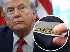 Donald Trump reclassifies Marijuana