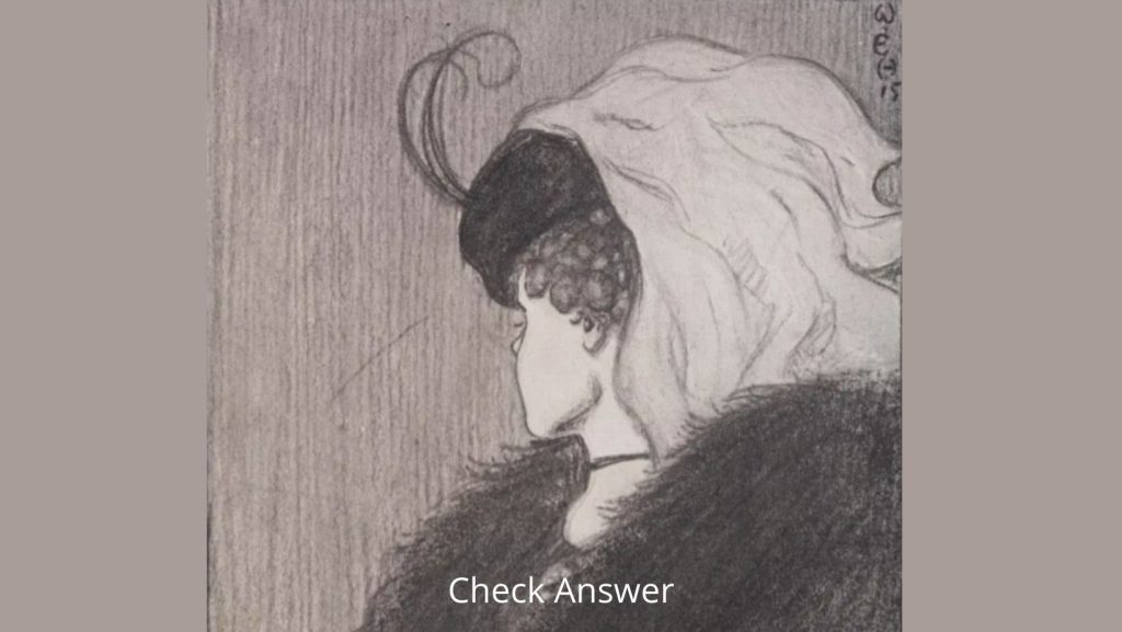 Optical Illusion: Do You See An Old Woman Or A Young Lady?