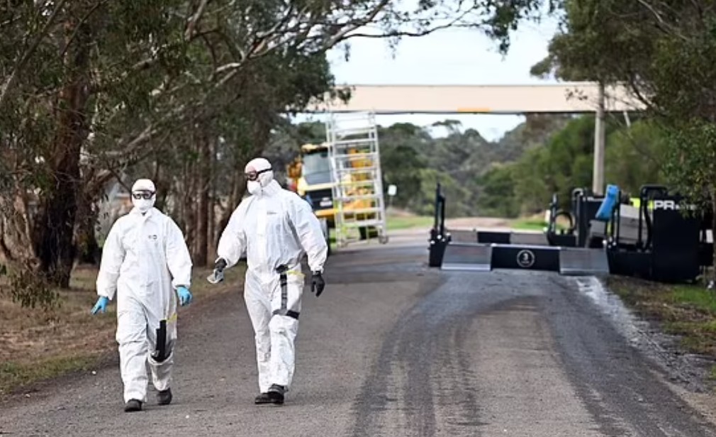 Experts issue terrifying warning to America: Prepare for pandemic NOW as new virus spreads to all 50 States