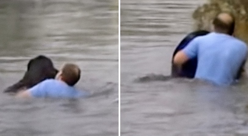 Zookeepers refuse to save drowning chimpanzee – then a truck driver breaks into his cage.