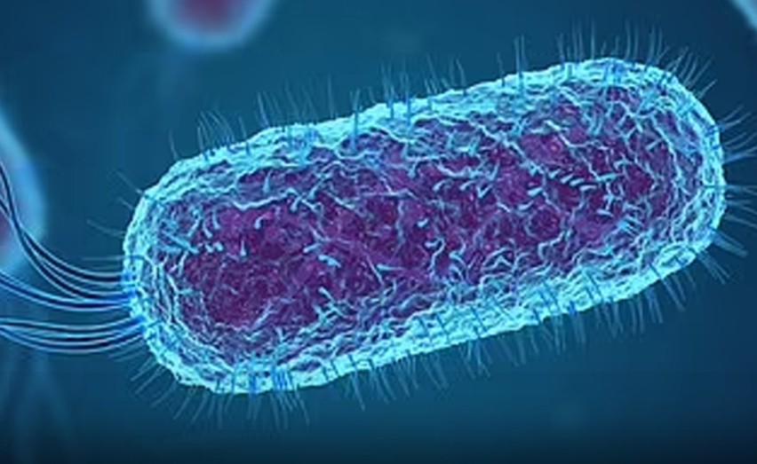Huge breakthrough as scientists pinpoint cause of colon cancer in young people… with 100,000 exposed yearly