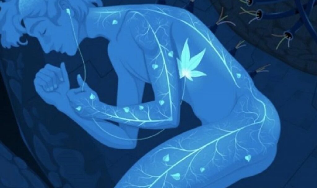 Do you wake up every night between 3 and 5 am? You may be having a spiritual awakening