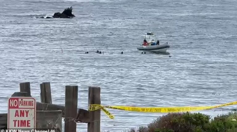 Three dead after private plane crashes in California