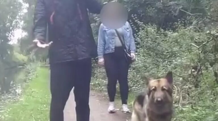 Cyclist pushed into canal over ‘not slowing down’ when approaching dog walker in shocking footage