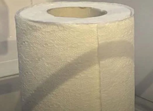 Why People Keep A Roll Of Toilet Paper In Their Fridge!!!