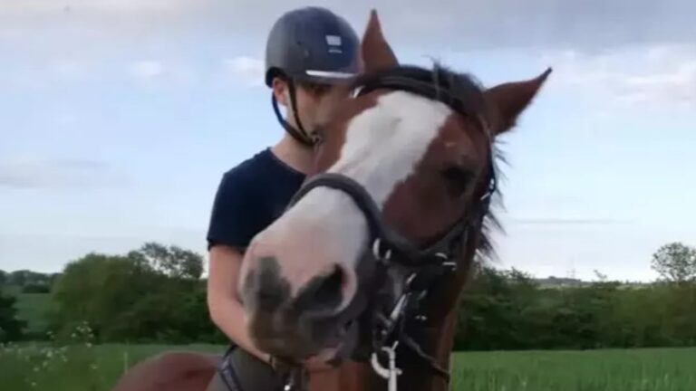 Woman explains why she gave daughter’s pony to zoo to be eaten by lions