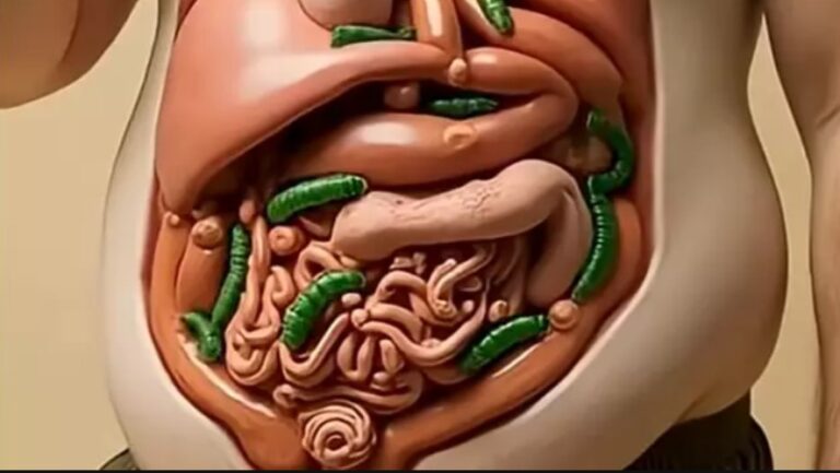 Jaw dropping simulation shows what happens to your body when you eat popular superfood everyday