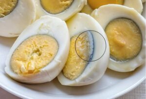 What does the green circle around the eggs mean
