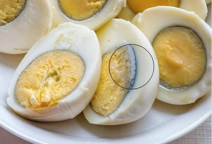 What does the green circle around the eggs mean