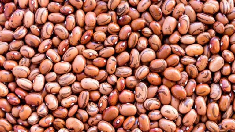 10+ Foods to Help Lower Your Blood Sugar