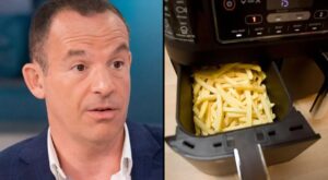 People Warned About Using Air Fryers Instead Of Ovens To Cook Food