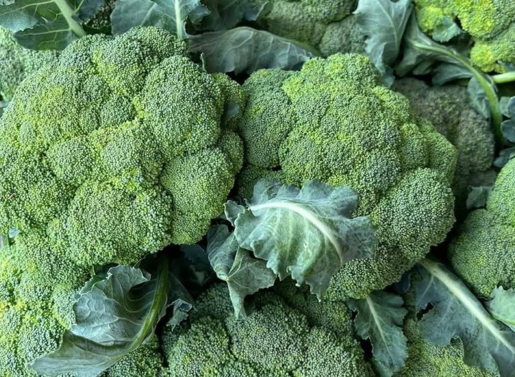 Is Broccoli Better Than Cauliflower? The Real Truth About Cancer Risk, Heart Health and More