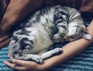 That detail isn’t innocent… and few people know it