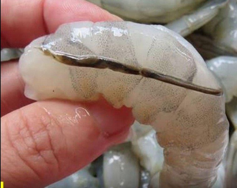 The “vein” of the shrimp: the culinary detail that few know and many discuss