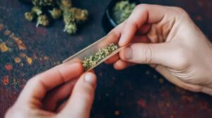 New study warns psychosis is on the rise and cannabis may be to blame as one particular group is at risk