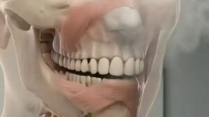 Chilling simulation shows exactly what happens to your body when you smoke weed every day