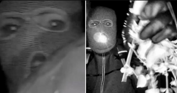 People believe they’ve spotted key detail in the eyes of Nancy Guthries kidnapping suspect