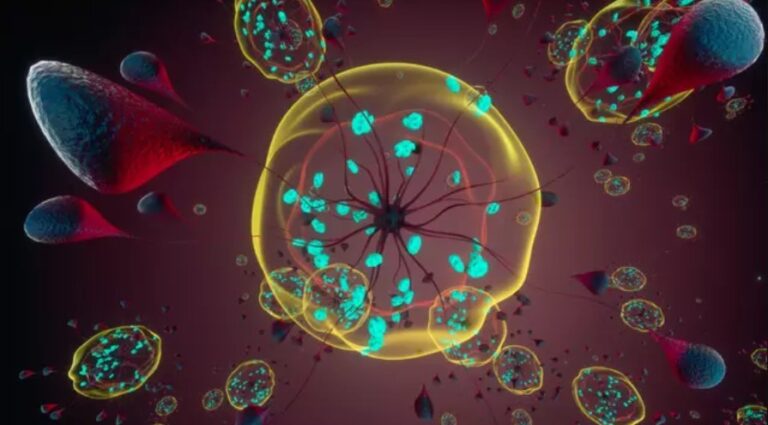 ‘Highly contagious’ adenovirus symptoms you might spot in your face as cases surge