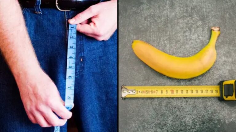 Country with the biggest average penis size in the world has been revealed