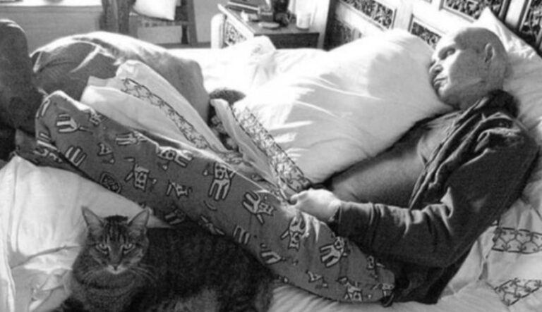 From beaten and bruised to one of the brightest stars in the world