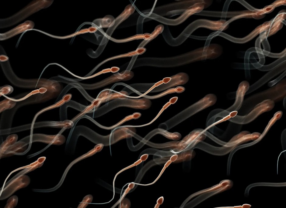 Science just found new side effect of regular masturbation and it’s left people gobsmacked