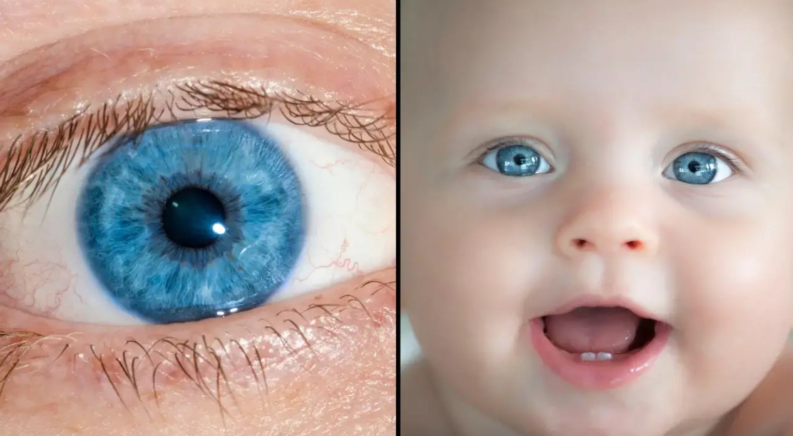 All Blue-Eyed People Have This One Thing In Common