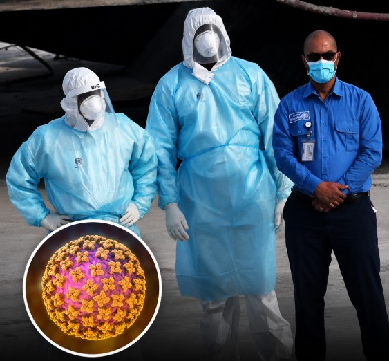 Hantavirus spreads to Europe in alarming update after cruise deaths