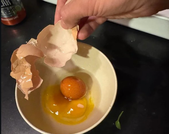 The Surprising Natural Protection Hidden Inside Every Egg