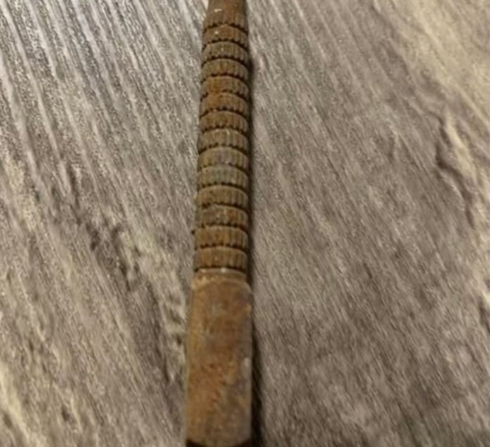“Found this yesterday on a country road. Any ideas?” a confused netizen asked….