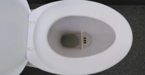 What It Is And Why There’s A Strange Shelf Inside Some Toilets