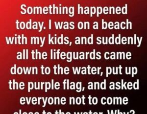 Why a Purple Beach Flag Could Be Important for Your Next Visit