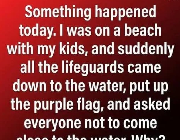 Why a Purple Beach Flag Could Be Important for Your Next Visit