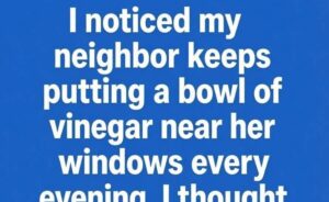 Why People Place Bowls Of Vinegar Near Windows During Warm Summer Months
