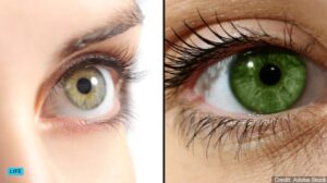 Every Green-Eyed Person Has One Thing In Common