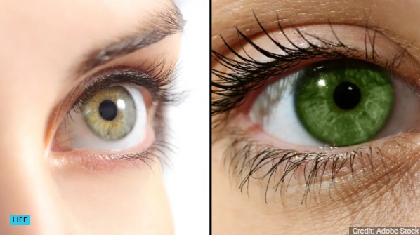 Every Green-Eyed Person Has One Thing In Common