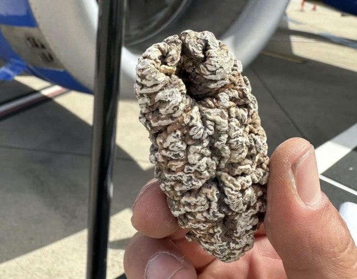 A Strange Find on a Plane