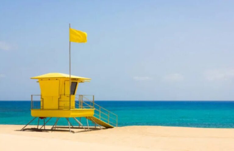 The Meaning of a Purple Flag at the Beach