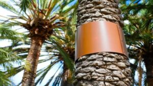 What It Means If Metal Is Wrapped Around a Tree