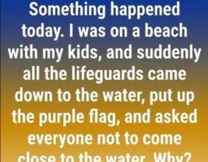 What a Purple Beach Flag Means and Why You Should Pay Attention