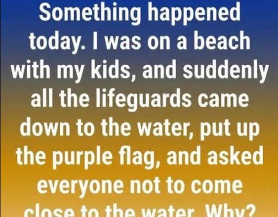 What a Purple Beach Flag Means and Why You Should Pay Attention