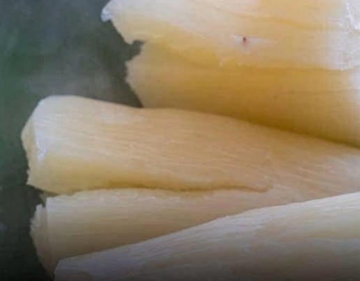 Millions of People Eat It Every Day, But Raw It Can Become Deadly Dangerous