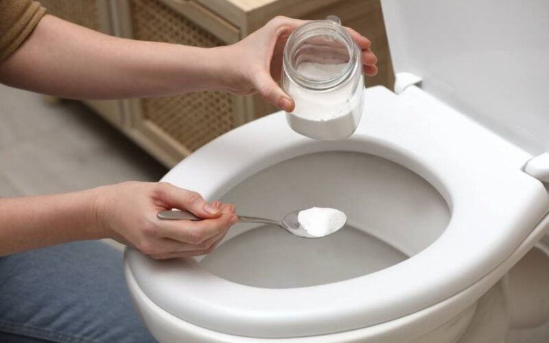 Why Putting Salt In Your Toilet Is A Little-Known Tip From Plumbers