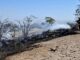 All passengers killed after tourist plane crashes into field