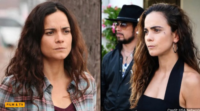 Netflix’s ‘Best Series Ever’ Is So Incredible Viewers Can’t Stop Watching It Over And Over