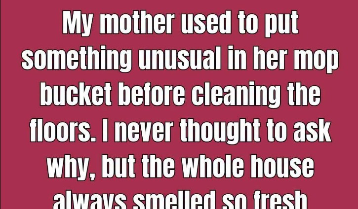 That’s Why You Need to Put a Bay Leaf in the Mop Bucket