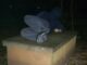 This man slept on his mother’s grave every day until one morning he…