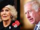 Queen Camilla Shares Devastating Update On King Charles’ Cancer Battle
