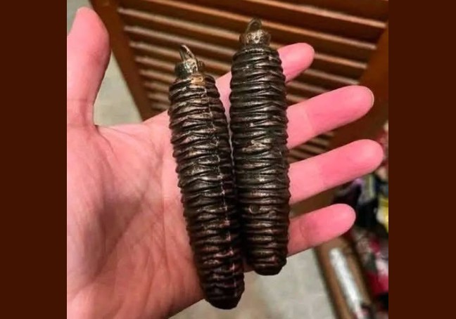 No, these are not Christmas decorations. My girlfriend is searching the house where her grandmother and her aunt have lived…