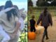‘Disgusting’ Photo Of Meghan Markle And Prince Harry’s Children Sparks Fury